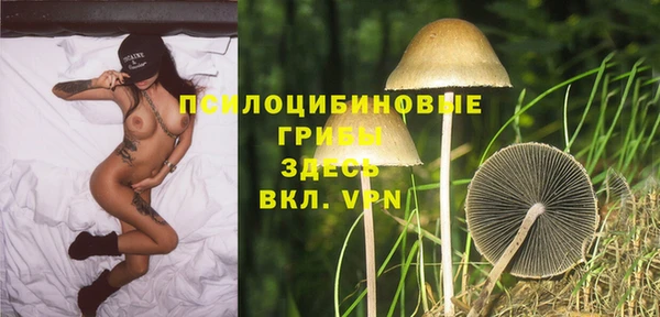 гашик Абдулино